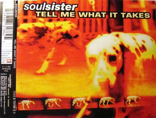 Tell Me What It Takes